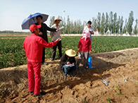 ʯ����Ȼ��ܵ����o����Ӱ�ʯ����Ȼ��ܵ���ȫ���ض�ʩ�����I(y��)�����Ҏ������