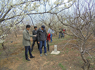 ��Ȼ��ܵ��ȸ��gֱ���u�r(ji��)���g(sh��)