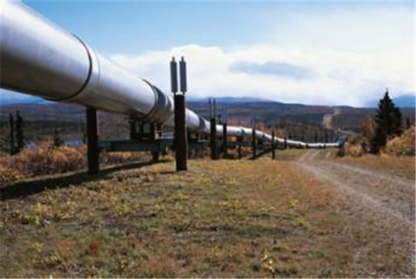 �ܵ����O���\���A������ʹ�÷��Ɇ�(w��n)�}̽��