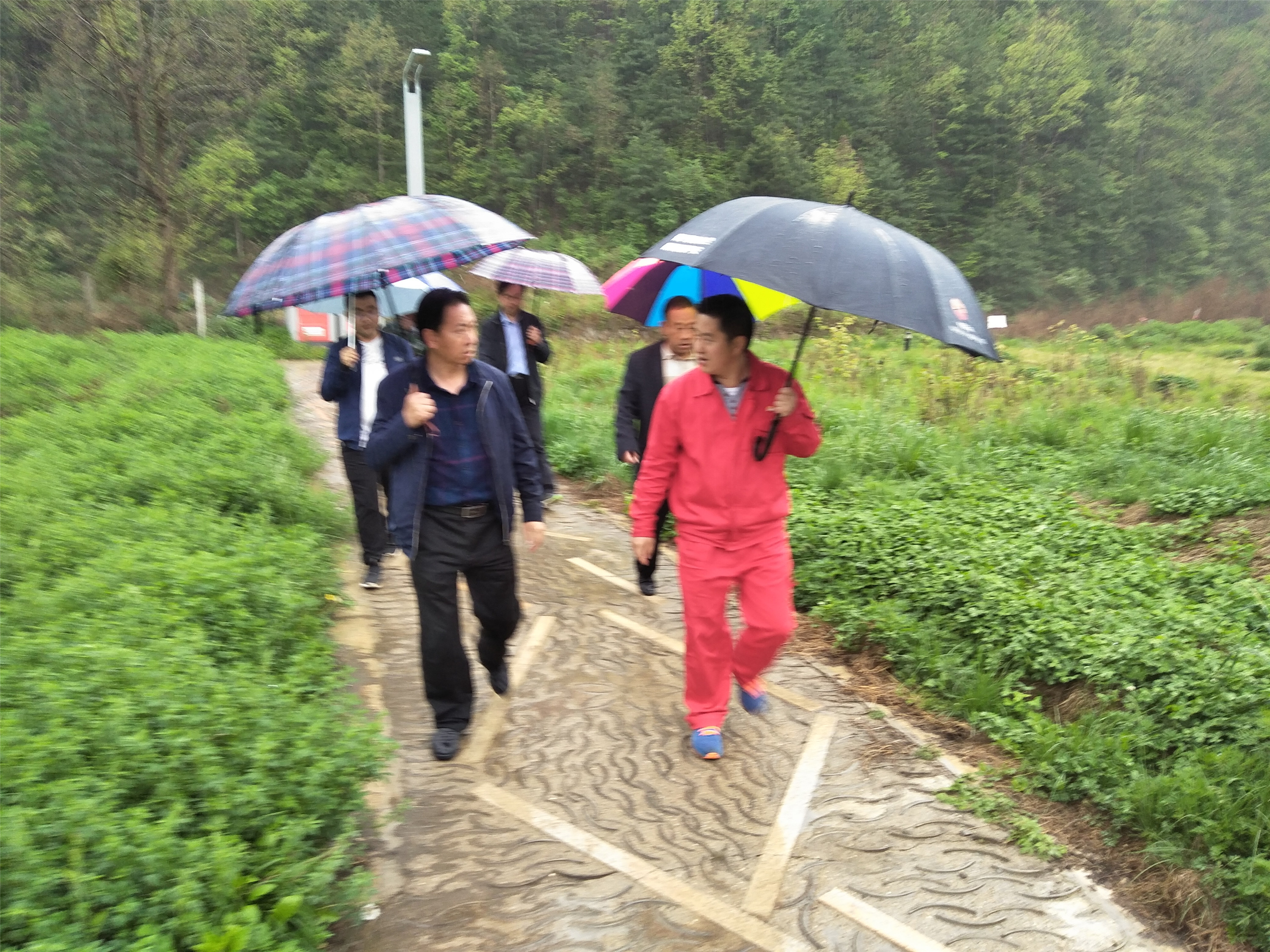 �Ԇ�(w��n)�}�������ƹܵ����ܙC��