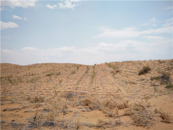 ɳĮ�؅^�L(ch��ng)ݔ�ܵ��L(f��ng)ɳ�����A��������