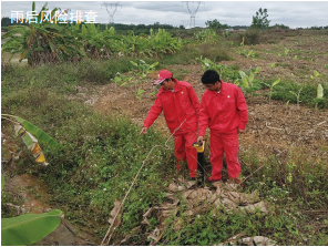 �䌍(sh��)�L(f��ng)�U���ش�ʩ���Ϲܵ��ߺ���^��ȫ