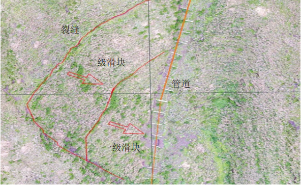 �ܵ����|(zh��)�ĺ��յؽY�ϱO�y�c�L(f��ng)�U�ܿ،�(sh��)�`