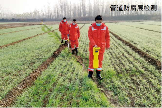 �ܵ����팦Ԓ(hu��)��48������Ѫ��ˮ�r(sh��)�̱�����ܵ���ȫ