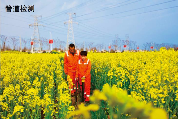 ���͚�ܵ���ֱ���ɔ_��(w��n)�}���J�R