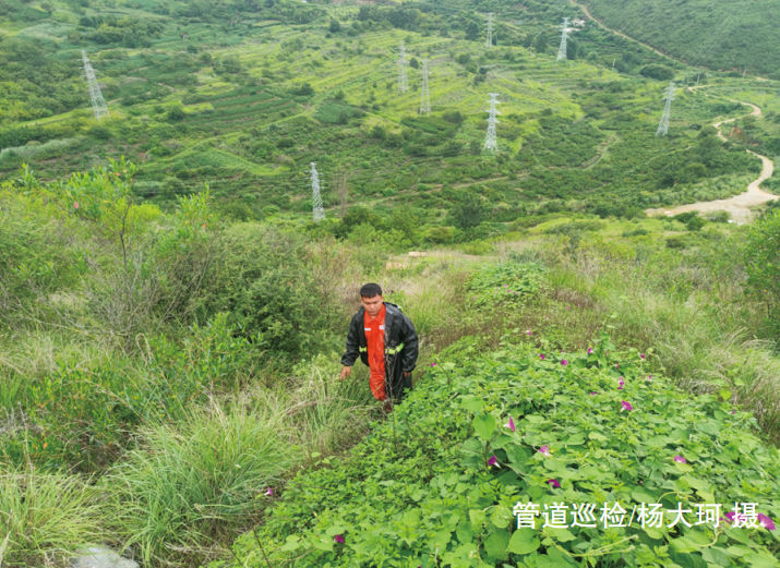 �ߗU��Ѳ�zϵ�y�ܵ����o���÷���