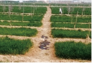 ���往(xi��n)�ܵ�ĸ���ѿp�B���¼�̎�ð���