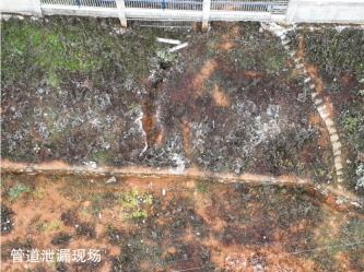 �x�L(ch��ng)��(xi��n)��6��29��ԭ�͹ܵ�й©����